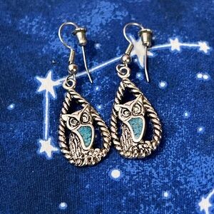 💜 NWOT Turquoise Owl Earrings